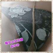 ヒメ日記 2025/06/28 08:23 投稿 あゆみ 痴女@女王様