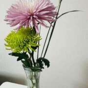 ヒメ日記 2025/09/06 22:01 投稿 いおり 奥様はエンジェル　立川店