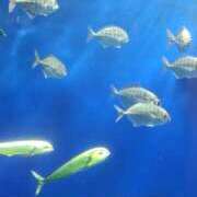 ヒメ日記 2026/08/26 07:27 投稿 ゆめの 土浦人妻浮気現場