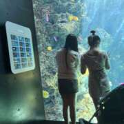 ゆめの ゆめのYouTuberになろうかな？ 土浦人妻浮気現場