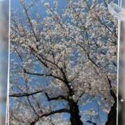 ヒメ日記 2026/04/10 20:01 投稿 まどか 所沢デリヘル桜