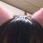 ヒメ日記 2025/01/14 19:03 投稿 あおい 水戸デブ専肉だんご＆人妻浮気現場