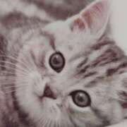 ヒメ日記 2025/02/20 16:20 投稿 あおい 水戸デブ専肉だんご＆人妻浮気現場