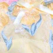 ヒメ日記 2025/02/28 11:33 投稿 あおい 水戸デブ専肉だんご＆人妻浮気現場