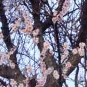 ヒメ日記 2025/03/22 06:38 投稿 あおい 水戸デブ専肉だんご＆人妻浮気現場