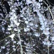 ヒメ日記 2025/03/30 04:30 投稿 あおい 水戸デブ専肉だんご＆人妻浮気現場