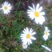 ヒメ日記 2025/05/13 18:12 投稿 あおい 水戸デブ専肉だんご＆人妻浮気現場