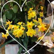 ヒメ日記 2025/01/17 07:38 投稿 さき 汁婆クラブ