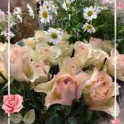 ヒメ日記 2025/02/06 07:30 投稿 さき 汁婆クラブ