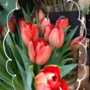 ヒメ日記 2025/02/12 07:12 投稿 さき 汁婆クラブ