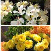 ヒメ日記 2025/04/18 07:40 投稿 さき 汁婆クラブ