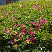 ヒメ日記 2025/04/24 07:22 投稿 さき 汁婆クラブ