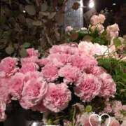 ヒメ日記 2025/04/30 12:44 投稿 さき 汁婆クラブ