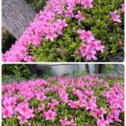 ヒメ日記 2025/05/05 10:30 投稿 さき 汁婆クラブ