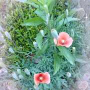 ヒメ日記 2025/05/06 10:02 投稿 さき 汁婆クラブ