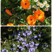 ヒメ日記 2025/05/17 11:46 投稿 さき 汁婆クラブ