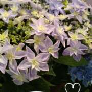 ヒメ日記 2025/05/20 12:00 投稿 さき 汁婆クラブ