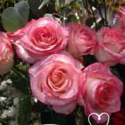 ヒメ日記 2025/05/22 07:44 投稿 さき 汁婆クラブ