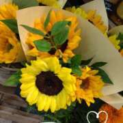 ヒメ日記 2025/06/16 14:20 投稿 さき 汁婆クラブ