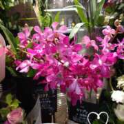 ヒメ日記 2025/08/18 07:14 投稿 さき 汁婆クラブ