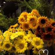 ヒメ日記 2025/08/28 07:40 投稿 さき 汁婆クラブ