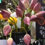 ヒメ日記 2025/09/05 07:30 投稿 さき 汁婆クラブ