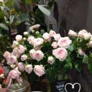 ヒメ日記 2025/10/17 09:10 投稿 さき 汁婆クラブ