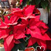 ヒメ日記 2025/11/28 07:30 投稿 さき 汁婆クラブ