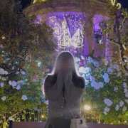 りず おふしょるにっと プロフィール 大阪店