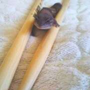 ヒメ日記 2025/08/21 15:08 投稿 はるか おふくろさんYO!!大和店