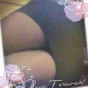 ヒメ日記 2025/11/05 08:54 投稿 こゆき 即アポ奥さん ～津・松阪店～