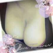 ヒメ日記 2026/01/27 08:24 投稿 こゆき 即アポ奥さん ～津・松阪店～