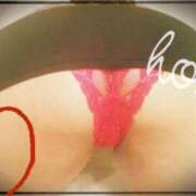 ヒメ日記 2026/03/27 09:14 投稿 こゆき 即アポ奥さん ～津・松阪店～