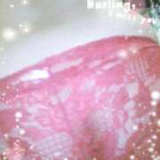 ヒメ日記 2026/04/23 09:04 投稿 こゆき 即アポ奥さん ～津・松阪店～