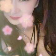 ヒメ日記 2025/04/16 11:47 投稿 まこと美優 クラブ華