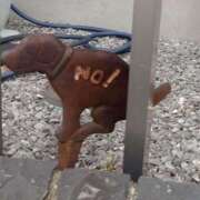 ヒメ日記 2025/11/15 22:38 投稿 まこと美優 クラブ華