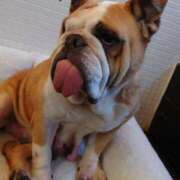 ヒメ日記 2025/12/31 00:21 投稿 まこと美優 クラブ華