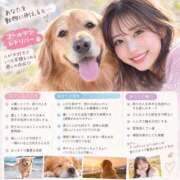 ヒメ日記 2026/09/21 12:22 投稿 まこと美優 クラブ華