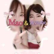 ヒメ日記 2024/12/12 23:04 投稿 加藤あやめ クラブ華