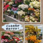 ヒメ日記 2024/12/13 09:57 投稿 加藤あやめ クラブ華