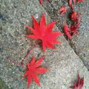 ヒメ日記 2024/12/14 00:32 投稿 加藤あやめ クラブ華