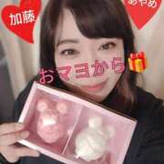 ヒメ日記 2024/12/25 11:29 投稿 加藤あやめ クラブ華