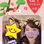 ヒメ日記 2024/12/28 01:02 投稿 加藤あやめ クラブ華