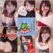 ヒメ日記 2024/12/31 07:24 投稿 加藤あやめ クラブ華