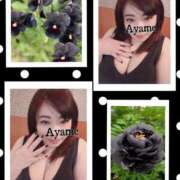 ヒメ日記 2025/02/03 13:06 投稿 加藤あやめ クラブ華