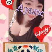 ヒメ日記 2025/03/29 09:27 投稿 加藤あやめ クラブ華