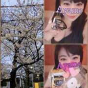 ヒメ日記 2025/03/30 09:27 投稿 加藤あやめ クラブ華