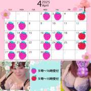 ヒメ日記 2025/04/01 10:34 投稿 加藤あやめ クラブ華