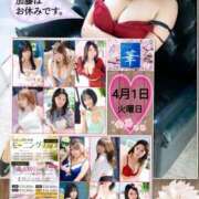 ヒメ日記 2025/04/01 10:40 投稿 加藤あやめ クラブ華