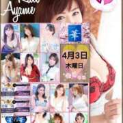 ヒメ日記 2025/04/03 09:01 投稿 加藤あやめ クラブ華